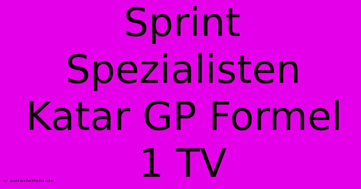 Sprint Spezialisten Katar GP Formel 1 TV