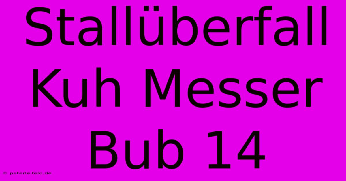 Stallüberfall Kuh Messer Bub 14