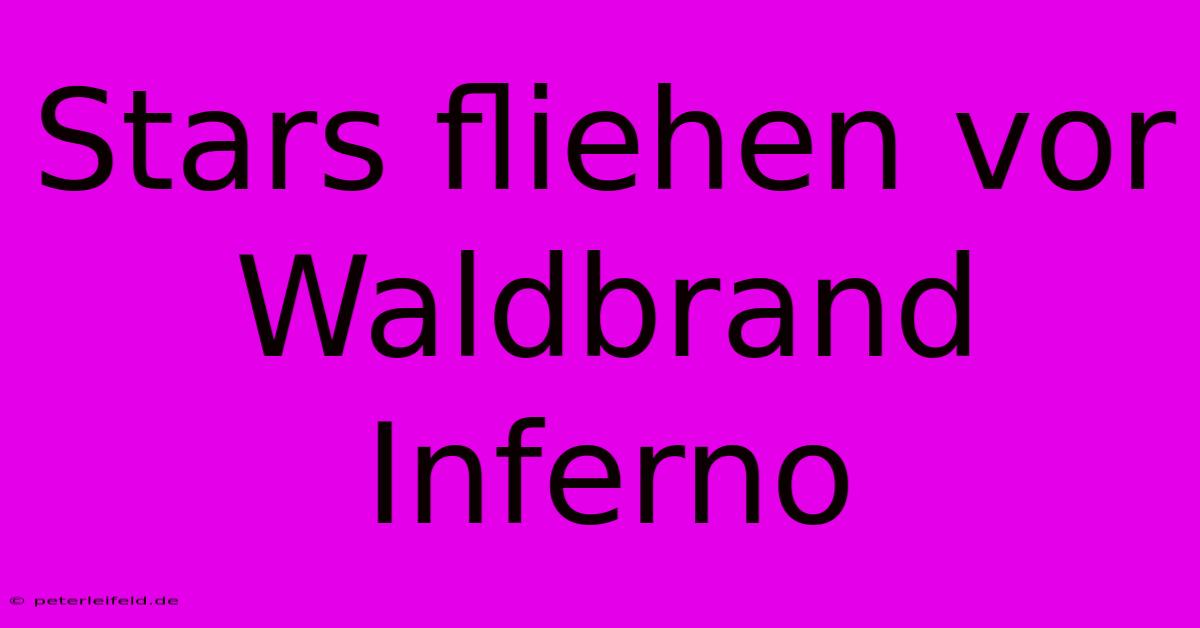 Stars Fliehen Vor Waldbrand Inferno