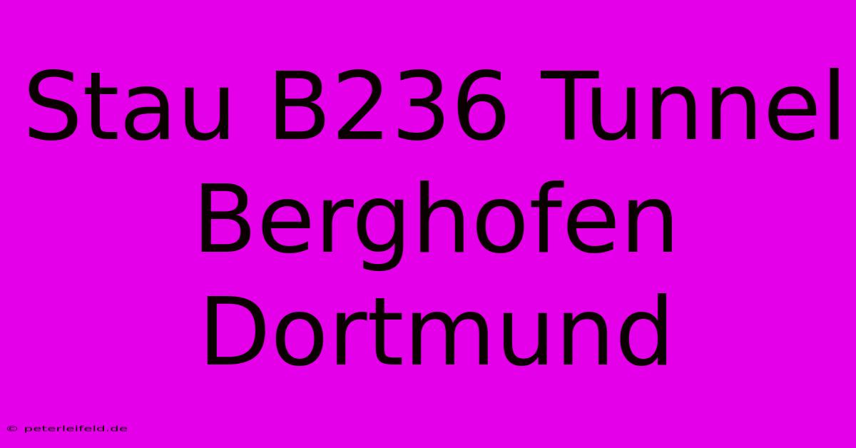 Stau B236 Tunnel Berghofen Dortmund