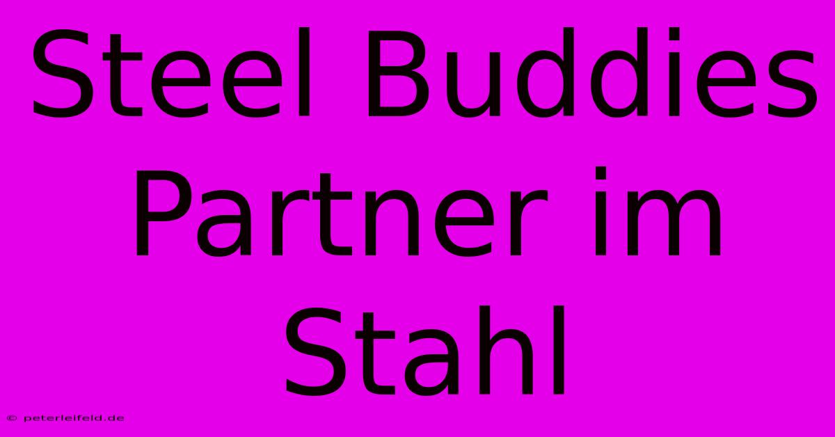 Steel Buddies Partner Im Stahl