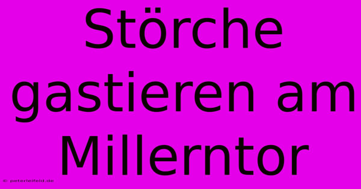 Störche Gastieren Am Millerntor