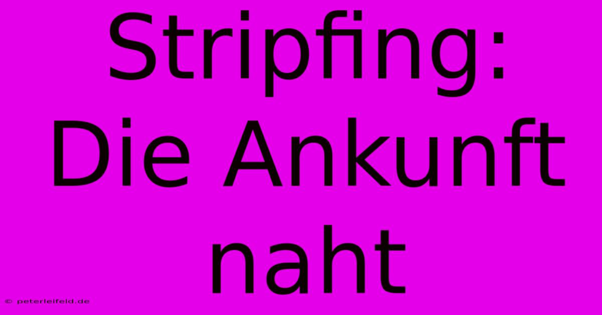 Stripfing: Die Ankunft Naht