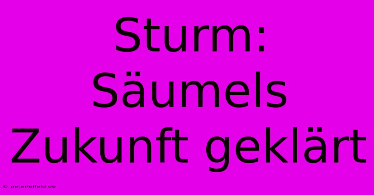 Sturm: Säumels Zukunft Geklärt