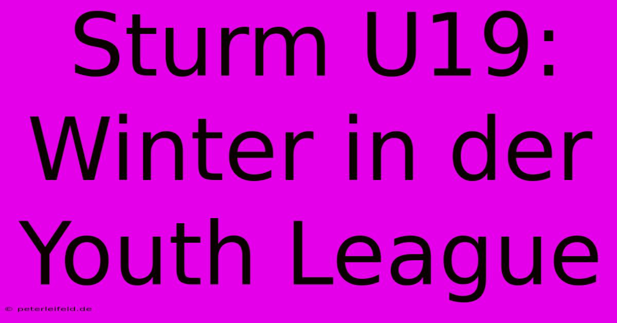 Sturm U19: Winter In Der Youth League