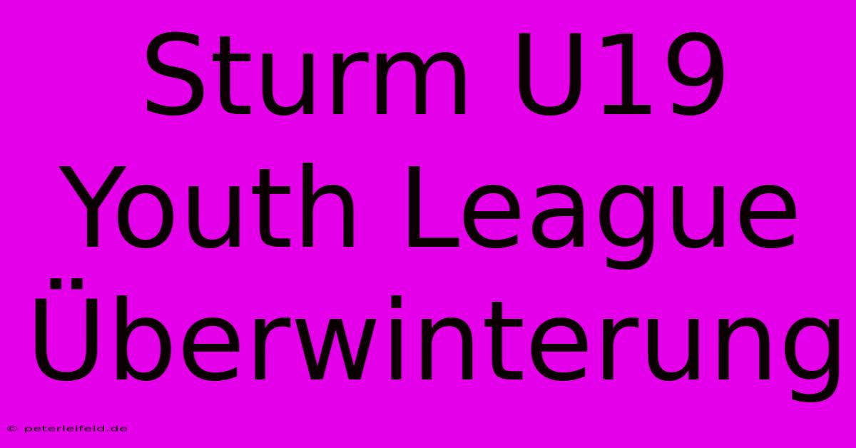 Sturm U19 Youth League Überwinterung