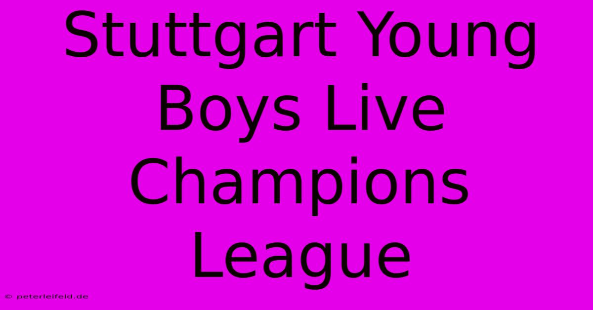 Stuttgart Young Boys Live Champions League