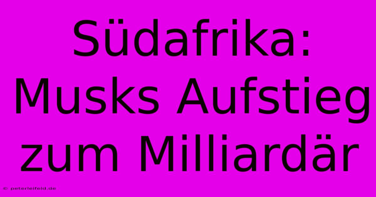 Südafrika: Musks Aufstieg Zum Milliardär