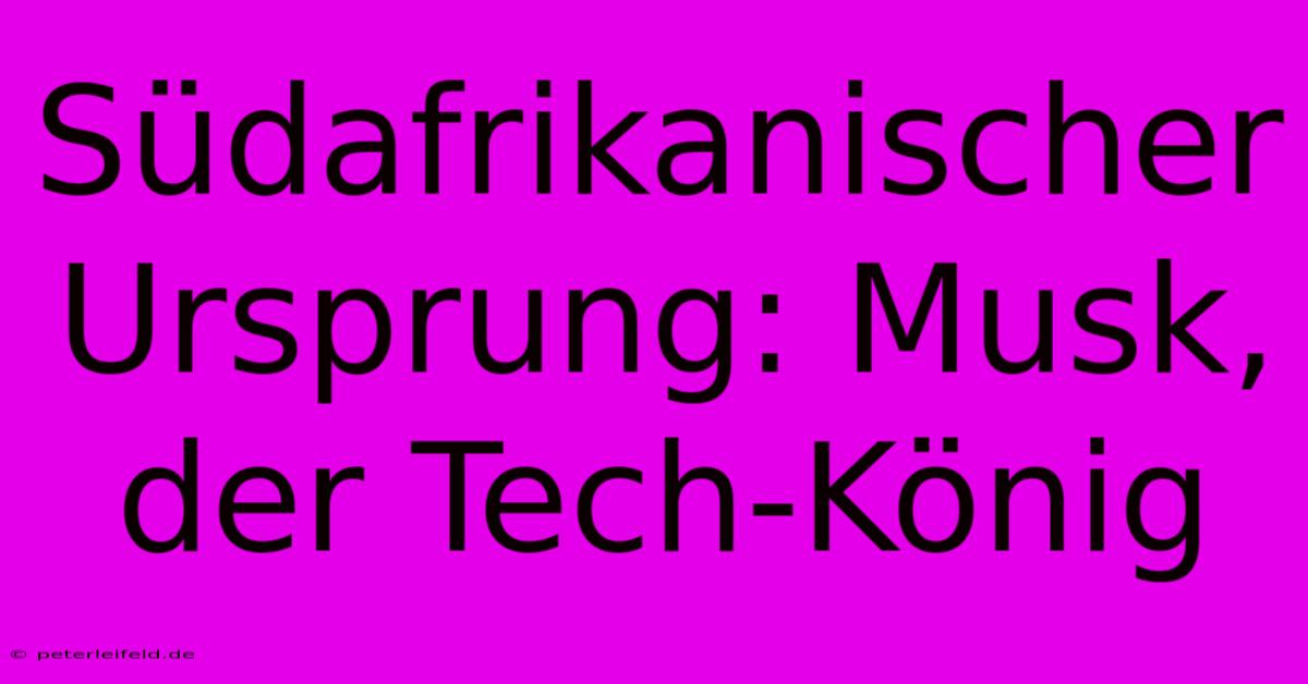 Südafrikanischer Ursprung: Musk, Der Tech-König