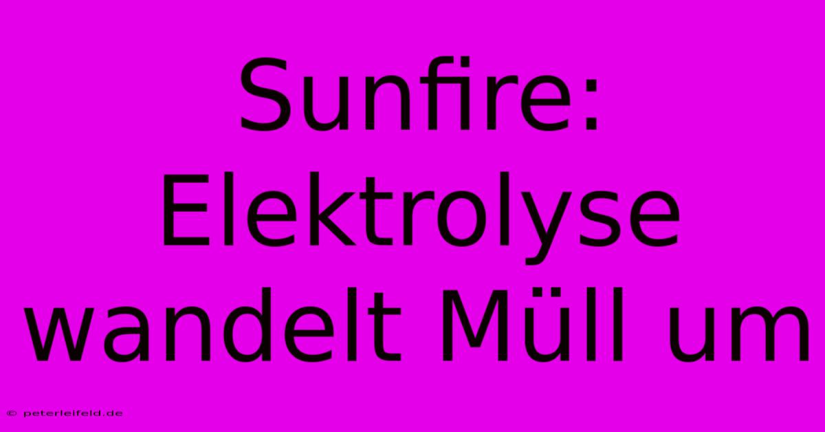 Sunfire:  Elektrolyse Wandelt Müll Um