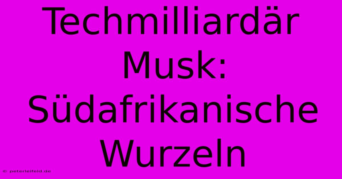 Techmilliardär Musk: Südafrikanische Wurzeln