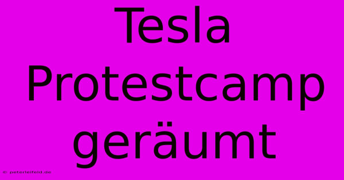 Tesla Protestcamp Geräumt