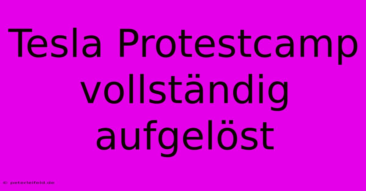 Tesla Protestcamp Vollständig Aufgelöst