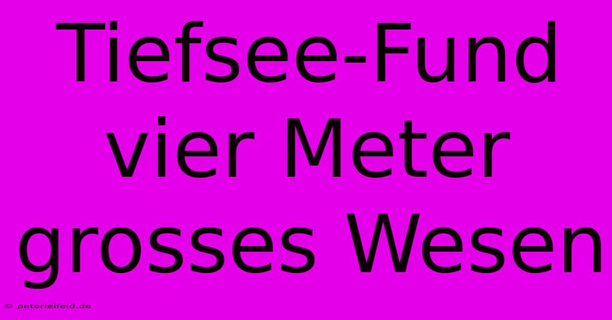 Tiefsee-Fund Vier Meter Grosses Wesen