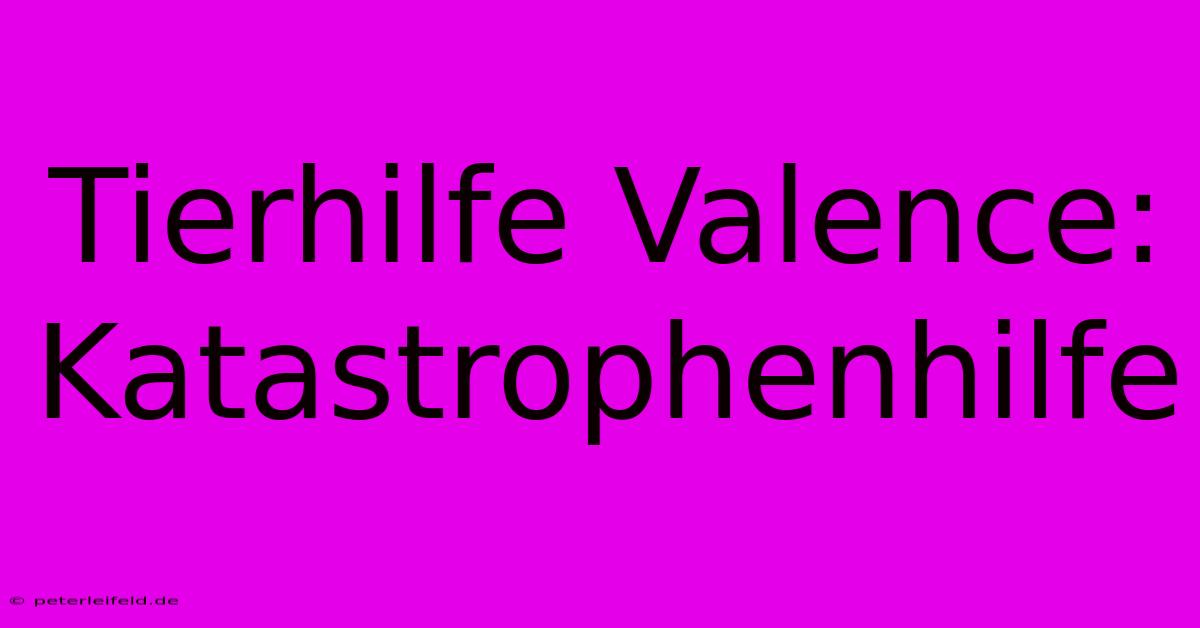 Tierhilfe Valence: Katastrophenhilfe