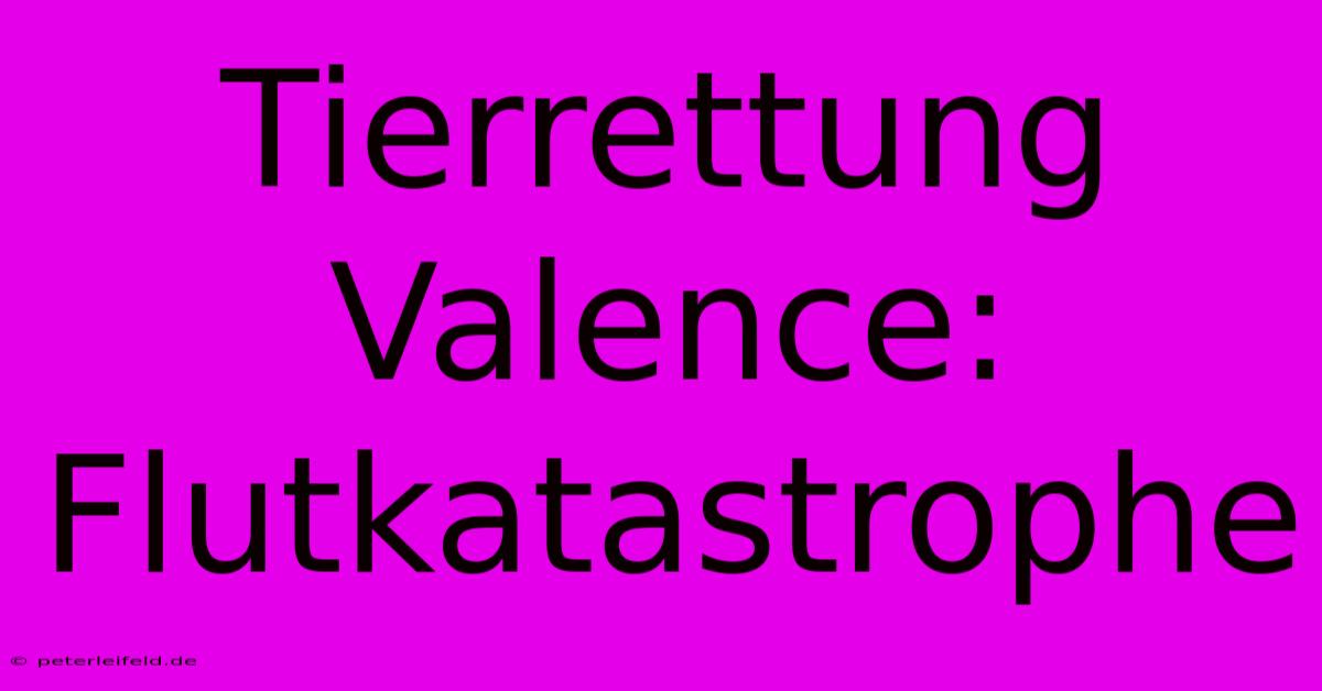 Tierrettung Valence: Flutkatastrophe