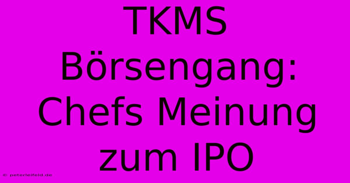 TKMS Börsengang: Chefs Meinung Zum IPO