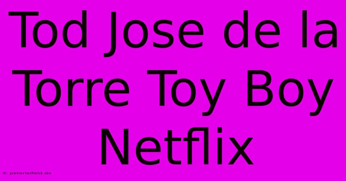 Tod Jose De La Torre Toy Boy Netflix