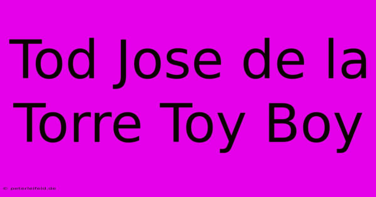 Tod Jose De La Torre Toy Boy