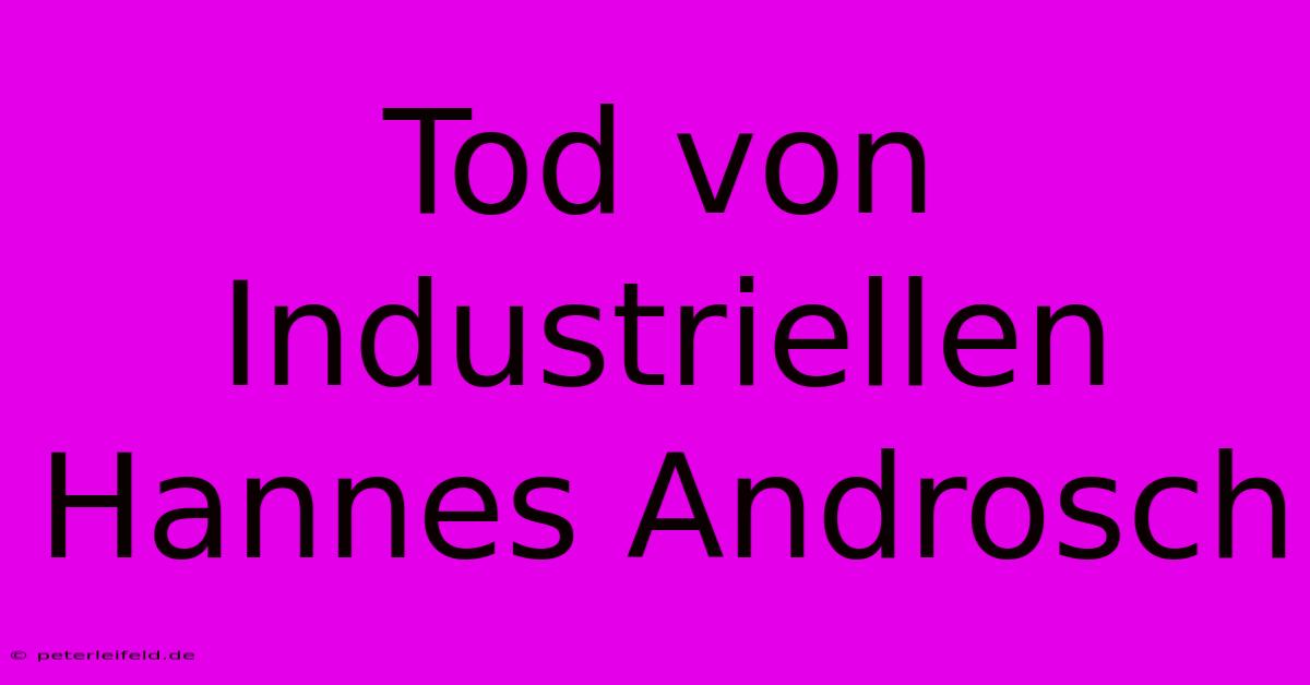 Tod Von Industriellen Hannes Androsch