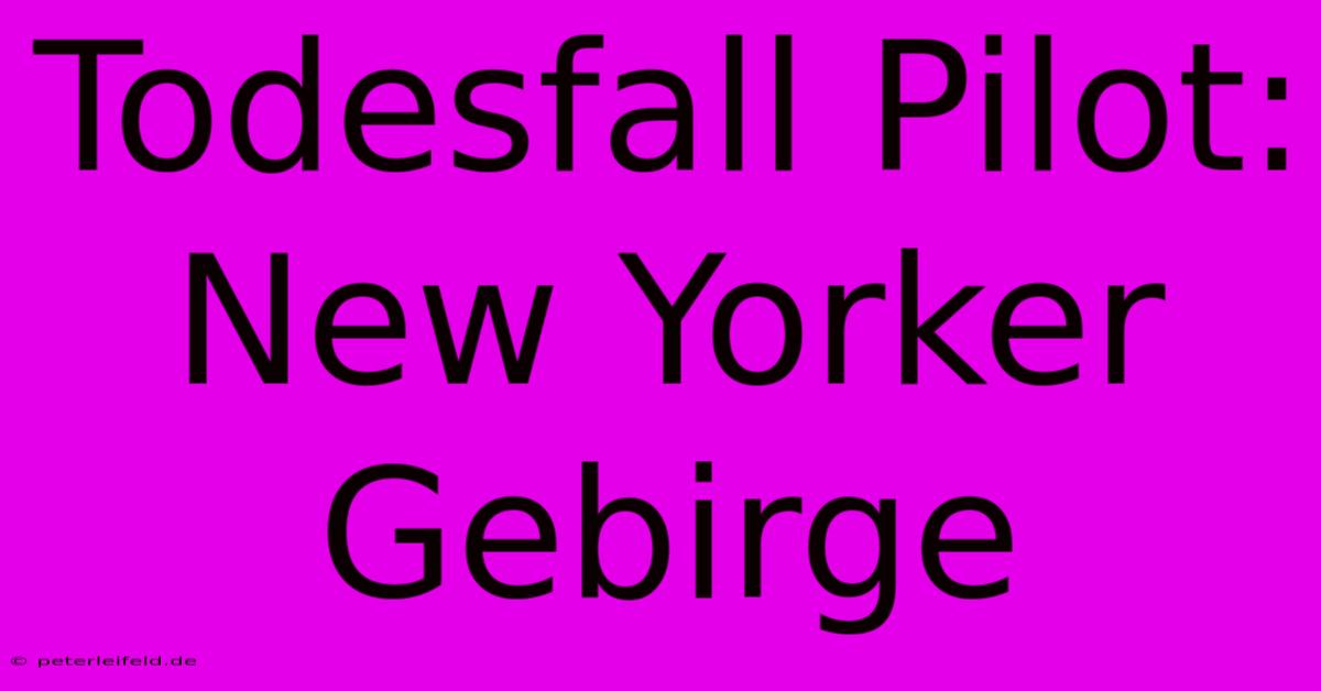 Todesfall Pilot: New Yorker Gebirge