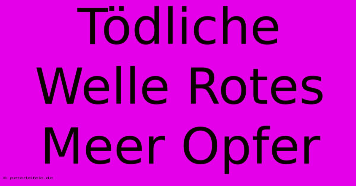 Tödliche Welle Rotes Meer Opfer