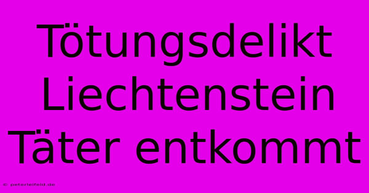 Tötungsdelikt Liechtenstein Täter Entkommt