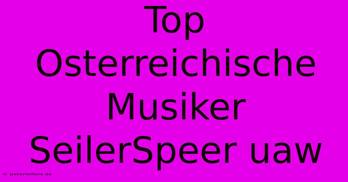 Top Osterreichische Musiker SeilerSpeer Uaw