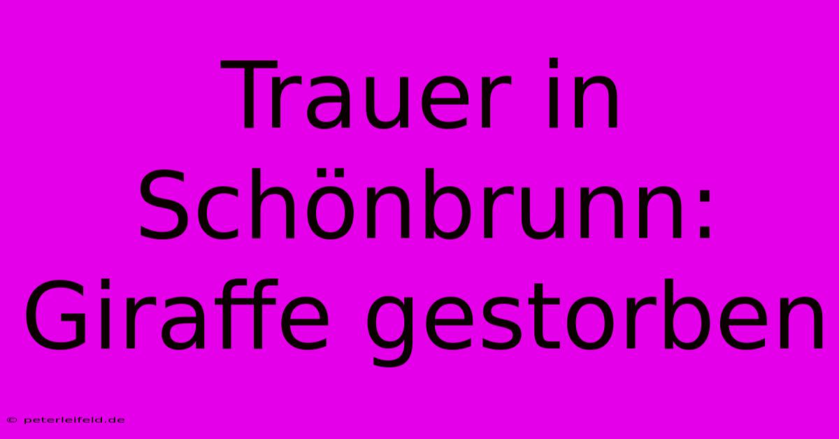 Trauer In Schönbrunn: Giraffe Gestorben