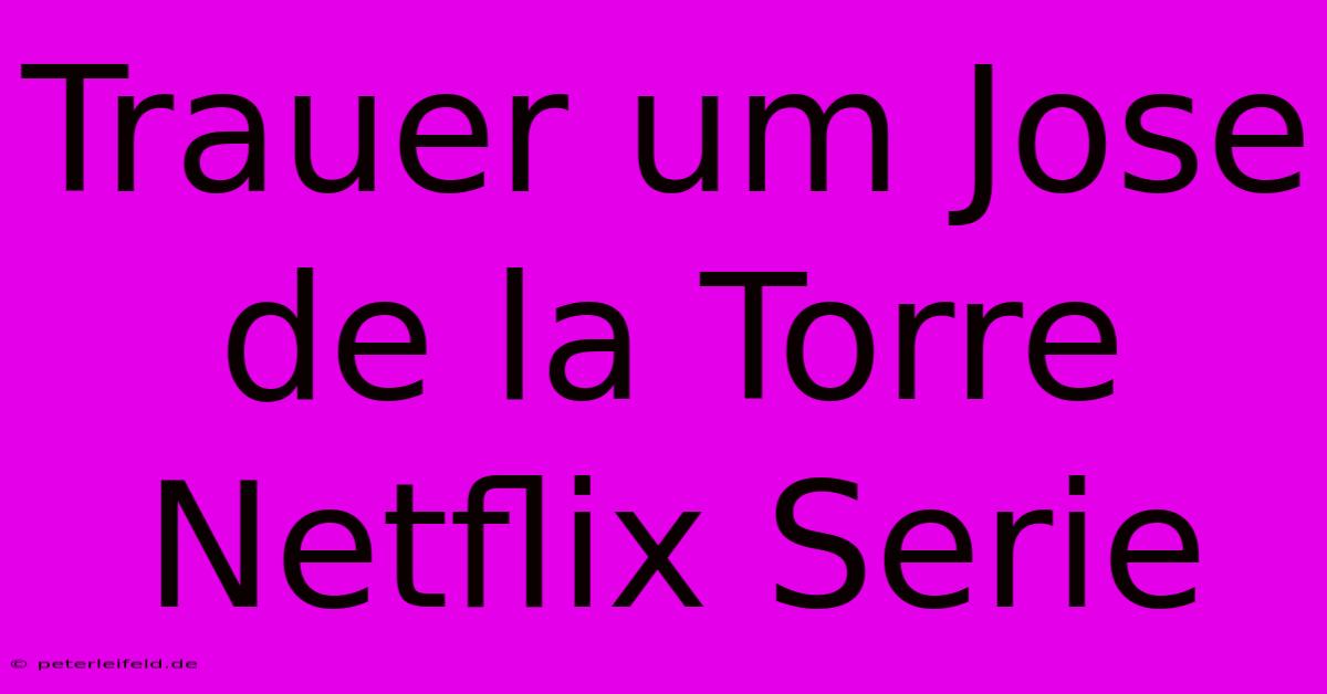 Trauer Um Jose De La Torre  Netflix Serie