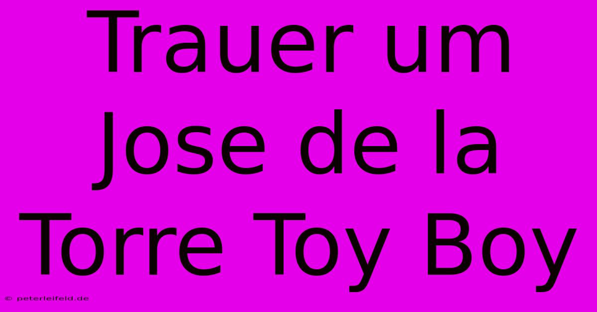 Trauer Um Jose De La Torre Toy Boy