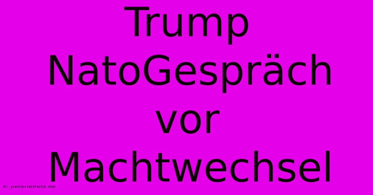 Trump NatoGespräch Vor Machtwechsel