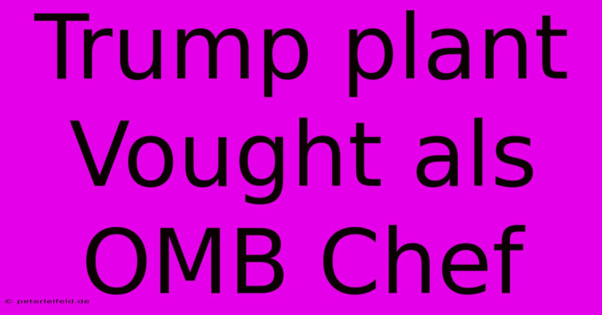 Trump Plant Vought Als OMB Chef