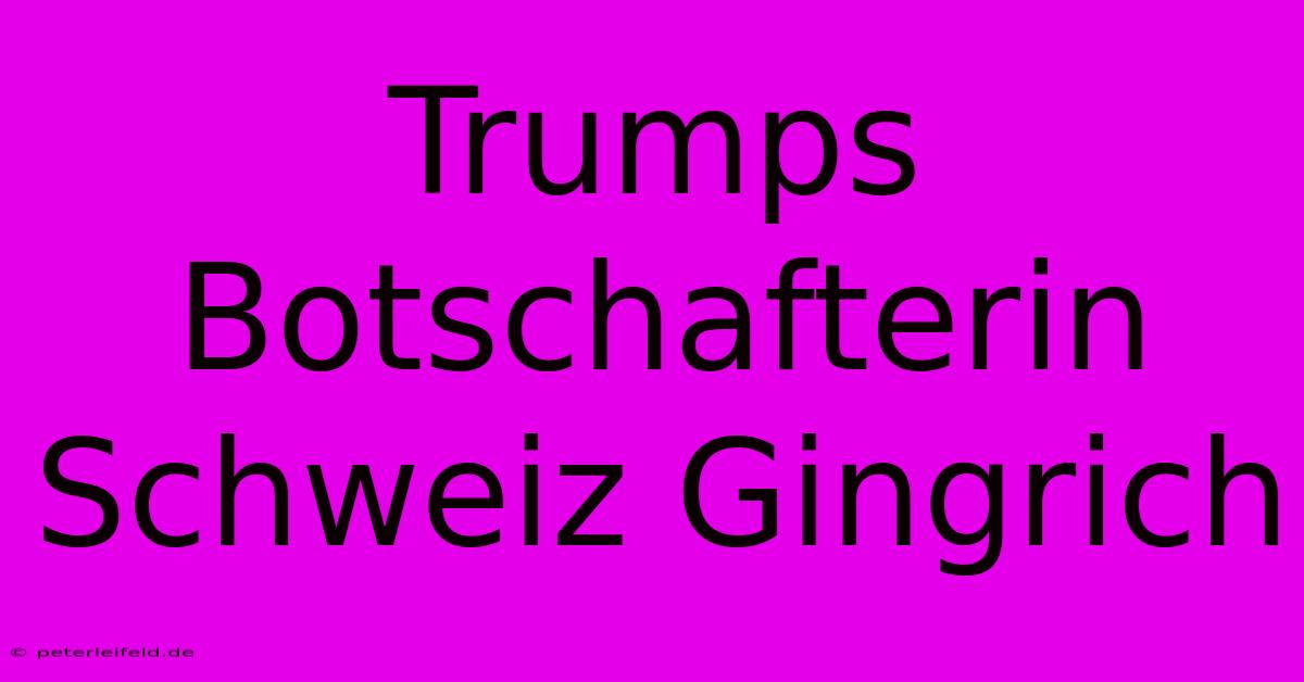 Trumps Botschafterin Schweiz Gingrich