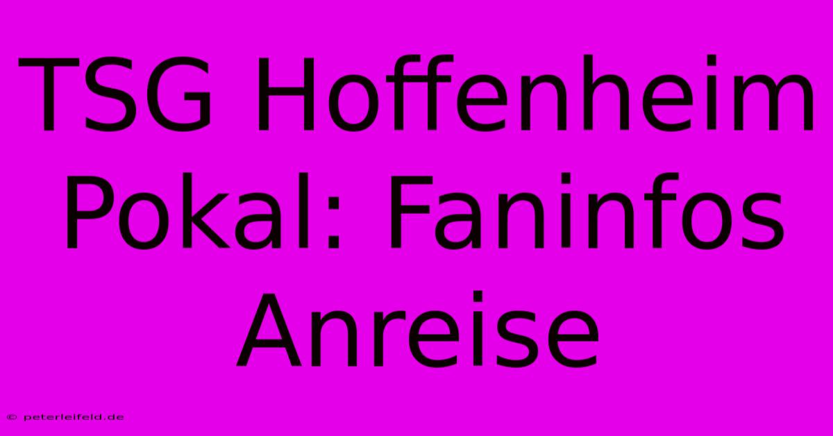 TSG Hoffenheim Pokal: Faninfos Anreise