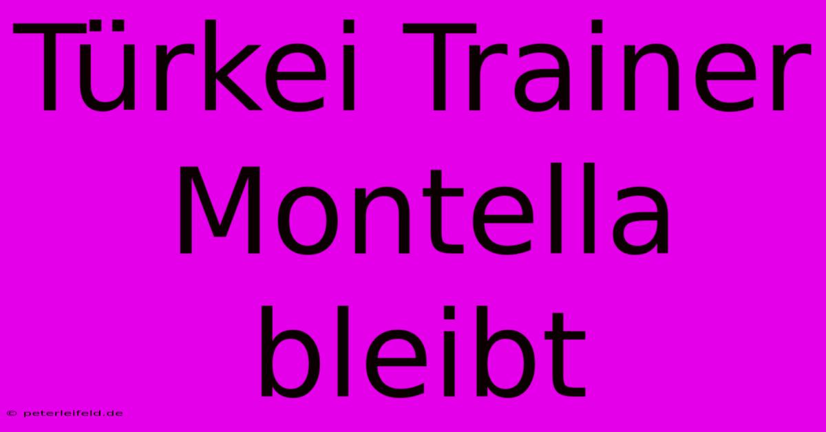 Türkei Trainer Montella Bleibt