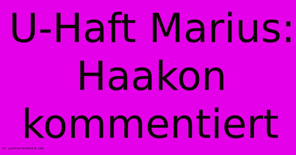 U-Haft Marius: Haakon Kommentiert