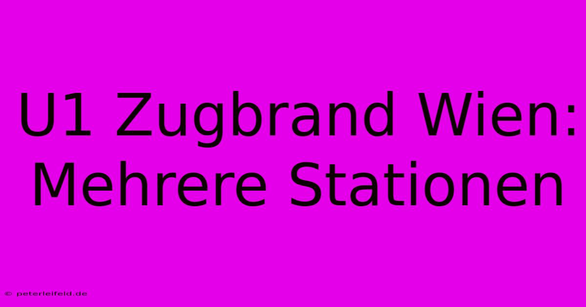 U1 Zugbrand Wien: Mehrere Stationen