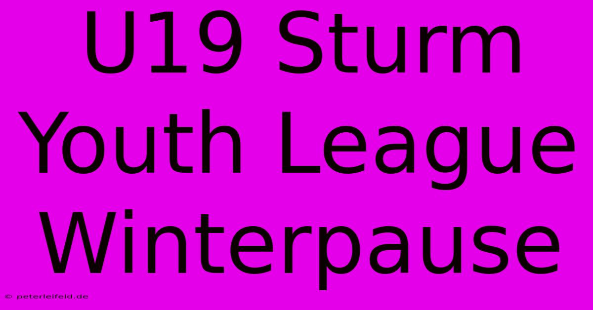 U19 Sturm Youth League Winterpause