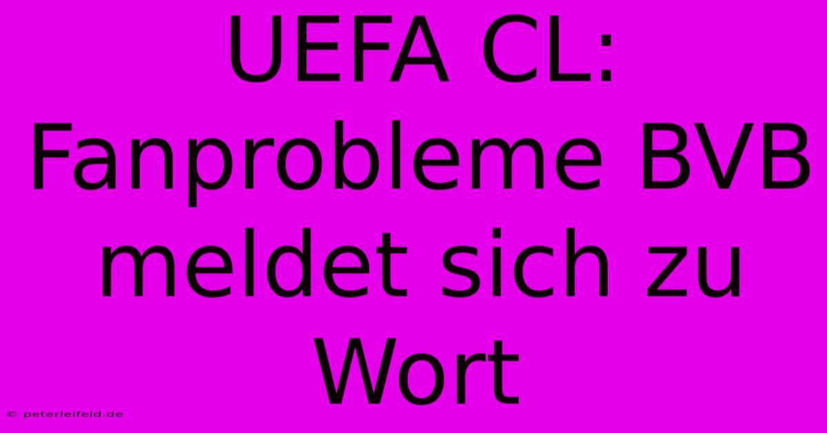 UEFA CL: Fanprobleme BVB Meldet Sich Zu Wort