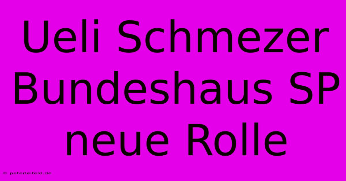 Ueli Schmezer Bundeshaus SP Neue Rolle