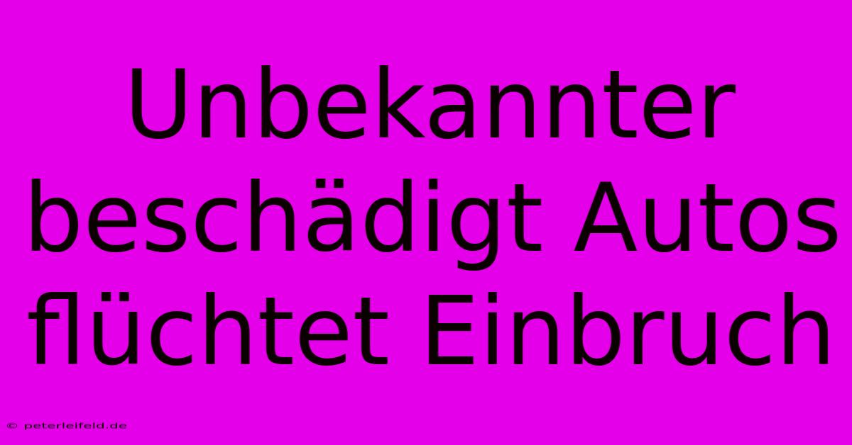 Unbekannter Beschädigt Autos Flüchtet Einbruch