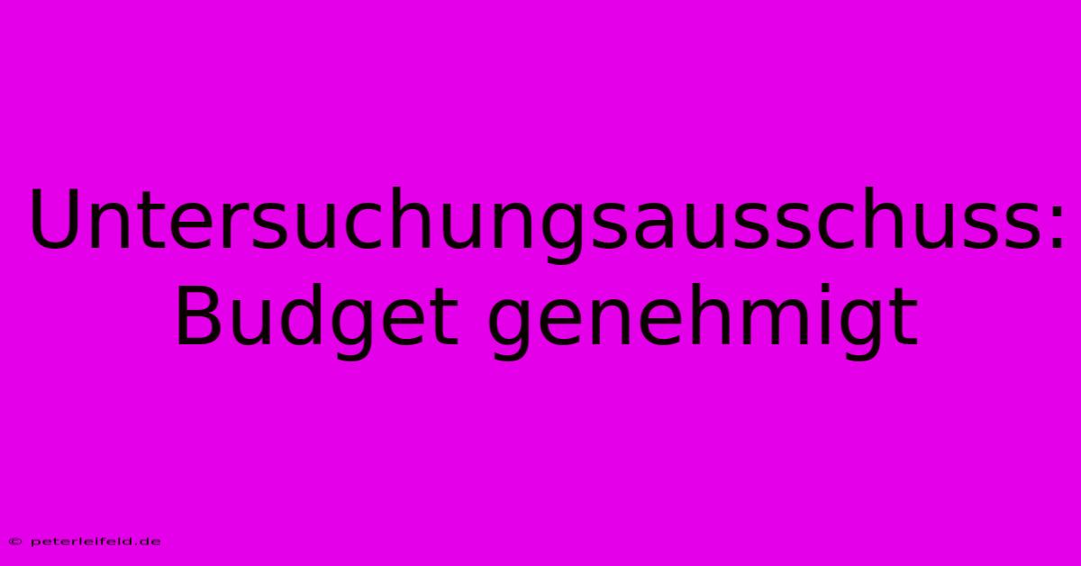 Untersuchungsausschuss: Budget Genehmigt