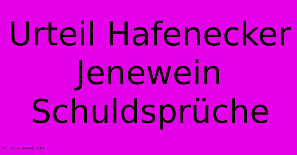 Urteil Hafenecker Jenewein Schuldsprüche