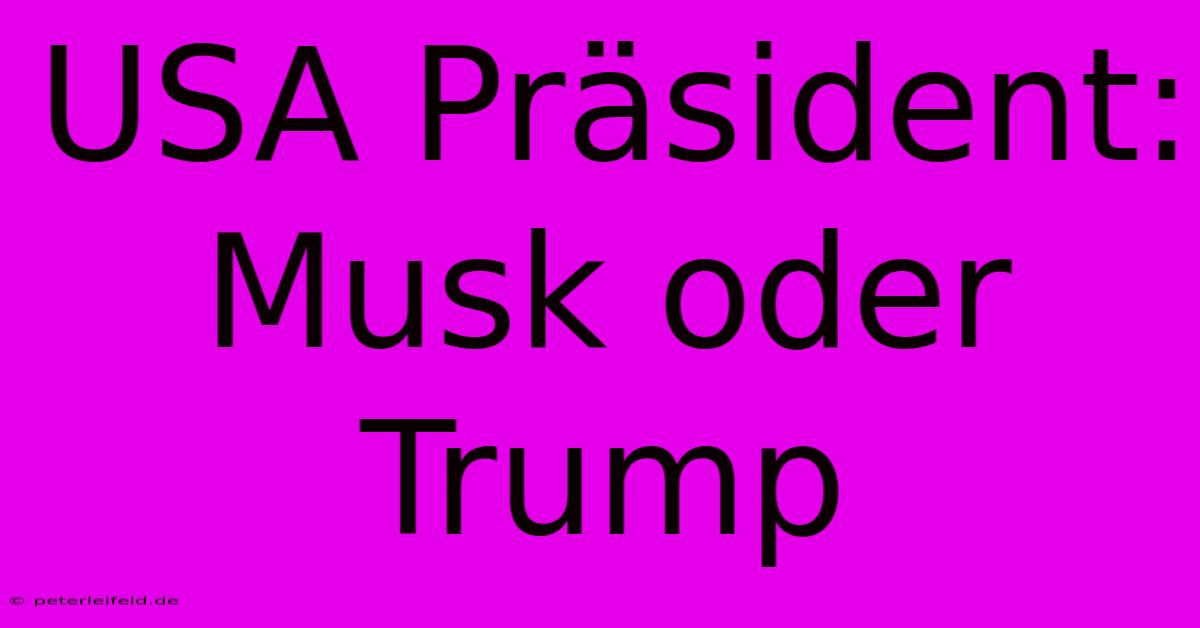 USA Präsident: Musk Oder Trump