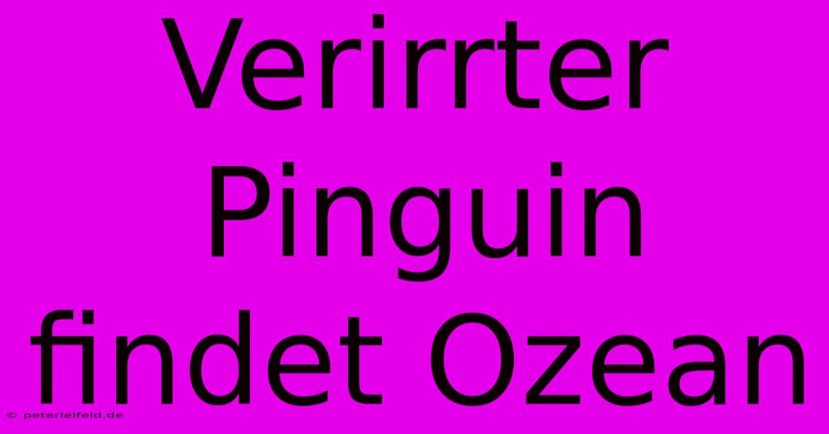 Verirrter Pinguin Findet Ozean