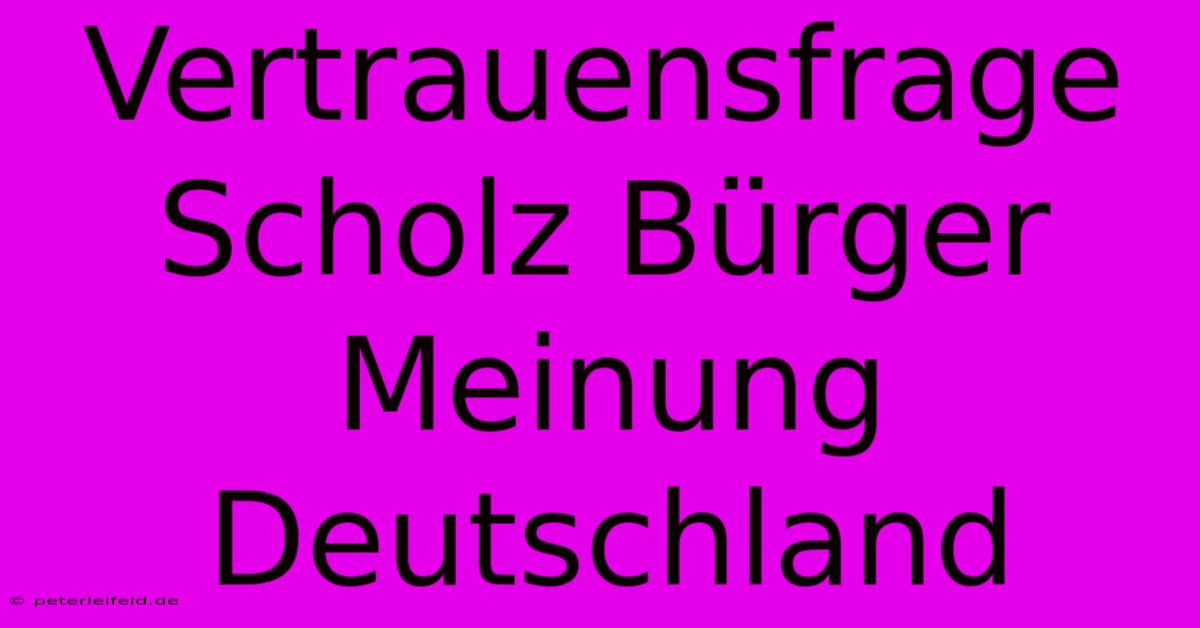 Vertrauensfrage Scholz Bürger Meinung Deutschland