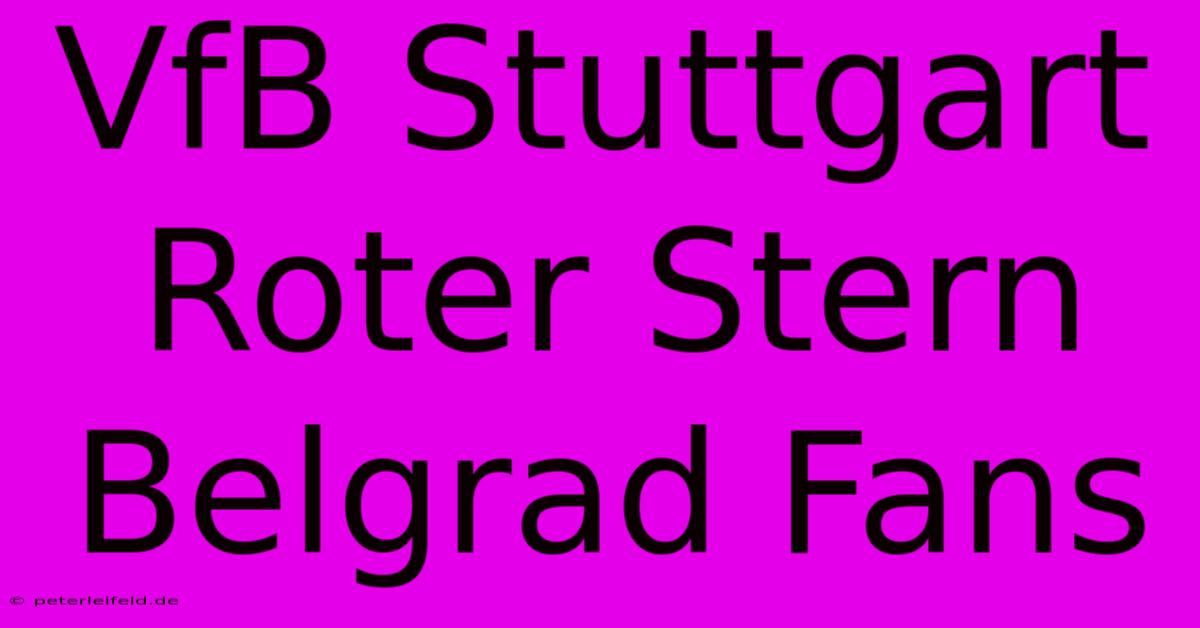 VfB Stuttgart Roter Stern Belgrad Fans