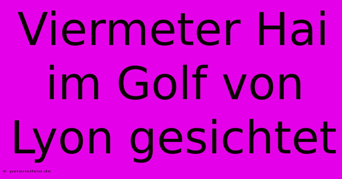 Viermeter Hai Im Golf Von Lyon Gesichtet