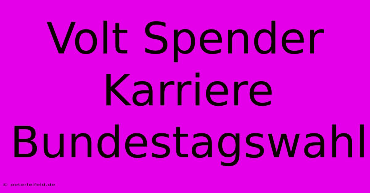 Volt Spender Karriere Bundestagswahl